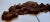 Late 19th Century Large Antique Carved Oak Sunburst Rose and Pomegranate Pediment - For Sale - Image 5 of 8