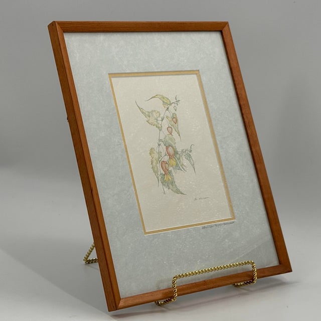 Vintage 1981 botanical portfolio print by Belgian artist Margot Weemaes (1909–1993), depicting Abutilon megapotamicum with...
