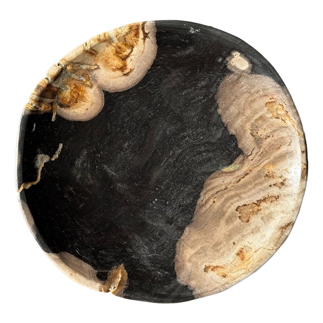Small Trinket Tray or Dish in Black and Beige Petrified Wood, 1980s For Sale