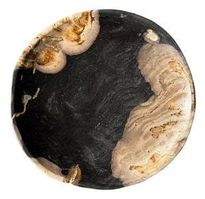 Small Trinket Tray or Dish in Black and Beige Petrified Wood, 1980s