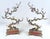 You are viewing a pretty pair of highly decorative French bronze branches with porcelain birds and flowers. Good size at...