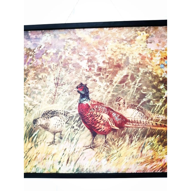 Mid-Century Modern Poster of Pheasant, 1950s For Sale - Image 3 of 7