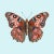 Butterfly With Pink and Brown Wings on a Light Blue Background Square Art Print 8"x8" For Sale