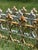 Set of 6 Cast Iron Interlocking Garden Edging Fences, White Paint Patina, 20th Century For Sale - Image 17 of 17
