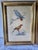 A set of two framed antique prints. Steel engraving on vellin type paper. Original hand colouring, heightened with arabic...