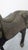 Indian Wooden Ceremonial Horse with Brass from Charles Mareck, 1920s For Sale - Image 13 of 18