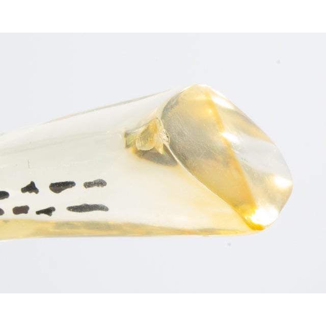 Lucite Giraffe by Abraham Palatnik For Sale In Indianapolis - Image 6 of 7