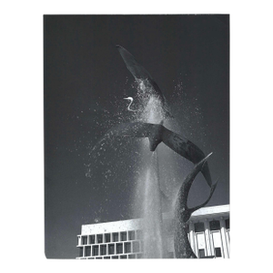 1970s Pasadena Egret Fountain Photograph by Don Ware