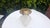 Art Nouveau Brass Flush Mount Ceiling Light, 1890s For Sale - Image 6 of 8