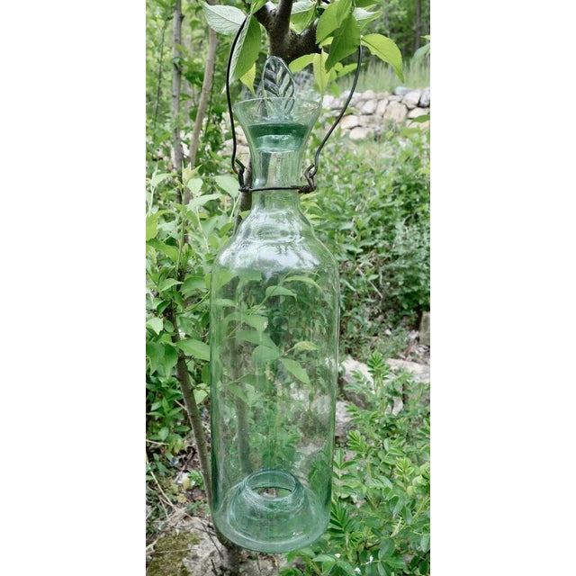 Glass Old Hand Blown Glass Bug Trap, France, Pale Green W/Stopper For Sale - Image 7 of 10