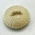 Vintage Coastal Belleek Ireland Limpet Yellow Coffee Pot With Lid 5th Mark: 1955-1965 For Sale - Image 12 of 18