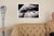 "Arecales Umbra Femina 7/10" Contemporary Original Black and White Nude Woman Photograph For Sale In Charleston - Image 6 of 8