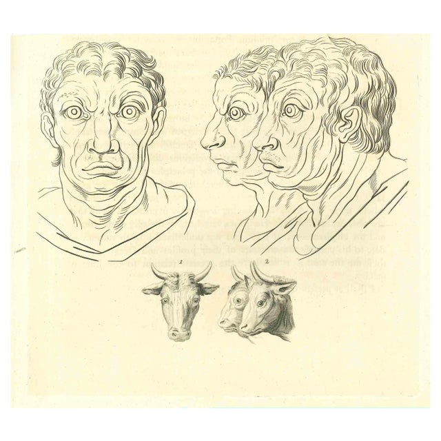Thomas Holloway, The Physiognomy: The Faces, Original Etching, 1810 For Sale