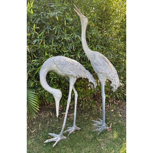 1920s Monumental Pair of Life-Size Bronze Crane Garden Sculptures With Verdigris... For Sale - Image 17 of 18