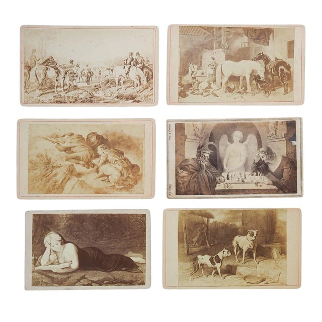 Antique Collection Grand Tour Horse Dogs Artwork Photographs - Set of 6 For Sale