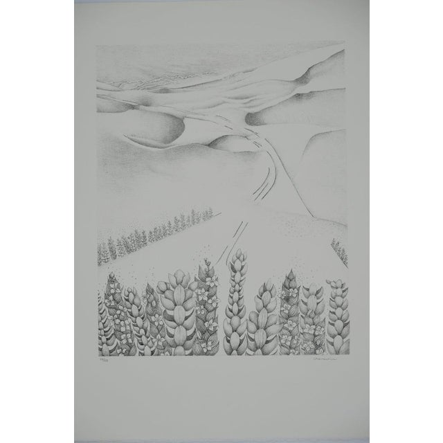 Gochka Charewicz, La vallée perdue, Lithograph For Sale - Image 8 of 8
