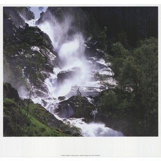 Archiv Kiedrowski Latefoss, Norway, 2009 For Sale