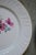 Boho Chic Bohemian Plates from Keller and Guerin Lunéville Badonviller, Set of 8 For Sale - Image 3 of 7