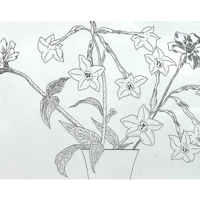 Ed Baynard, Zen Minimalist Flowers Etching American Modernist Ed Baynard Pop Art Print For Sale - Image 4 of 10