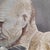 Beige Japanese Artist, Portrait of a Thinker, 1920s, Silk For Sale - Image 8 of 11