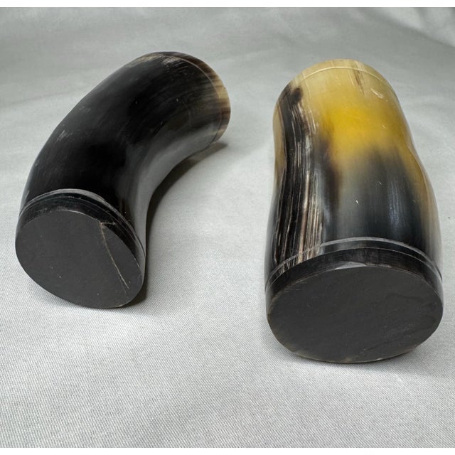 Pair of Rustic European Horn Vases For Sale - Image 11 of 12