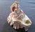Brown Vintage Dresden Art Lace Figurines, 1960s, Set of 5 For Sale - Image 8 of 11