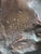 Copper 1980s Original Bronze Sculpture of a Girls Head, Marked “Andrea, Sculpted ‘84” For Sale - Image 8 of 9