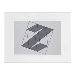 Josef Albers, Z Prism - P2, F16, I1 , Geometric Abstract Screenprint