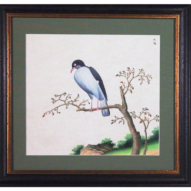 Pair of Chinese Export Bird Watercolors, Canton Natural History Paintings Circa 1800–1820 This pair of Chinese export...
