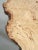 Modern French Burl Elm Slab Dining Table or Desk For Sale - Image 12 of 13