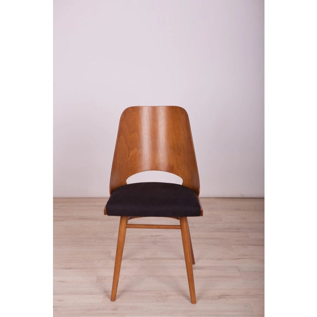 Model Lollipop Dining Chairs from Tatra, 1960s, Set of 4 For Sale - Image 6 of 18