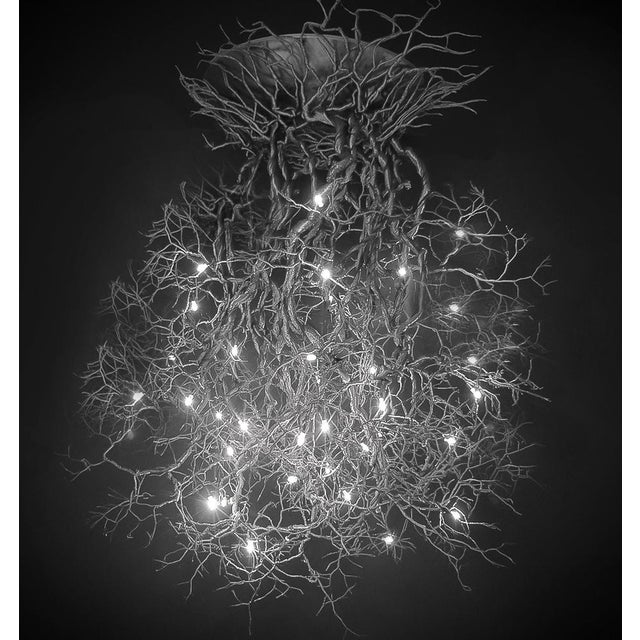 Contemporary The Art of Grounding Chandelier by Frankie Cesare For Sale - Image 3 of 11