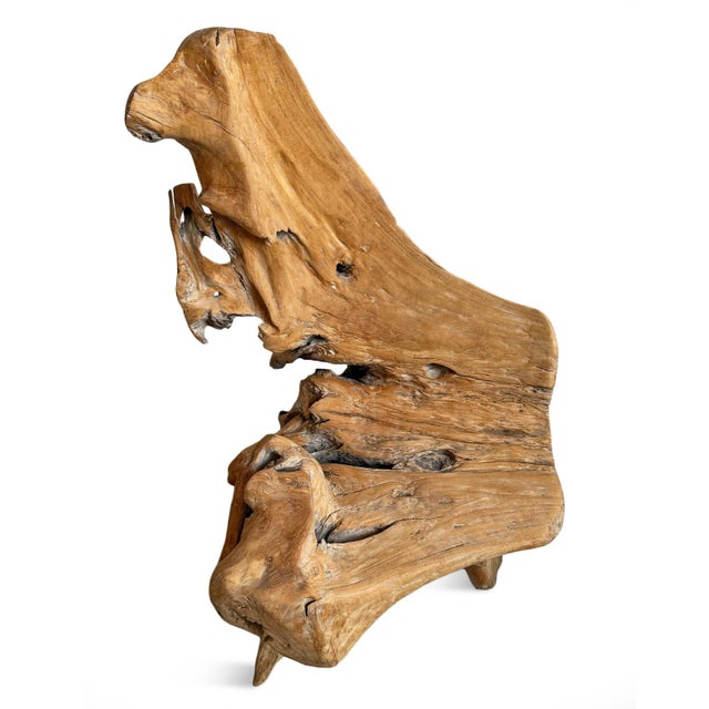 Organic Modern Vintage Freeform Teak Root Chair For Sale - Image 4 of 6