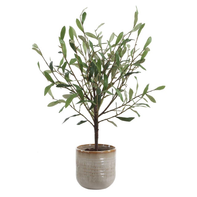 Kenneth Ludwig Chicago Solea Olive Accent & Textured Vase For Sale - Image 4 of 5