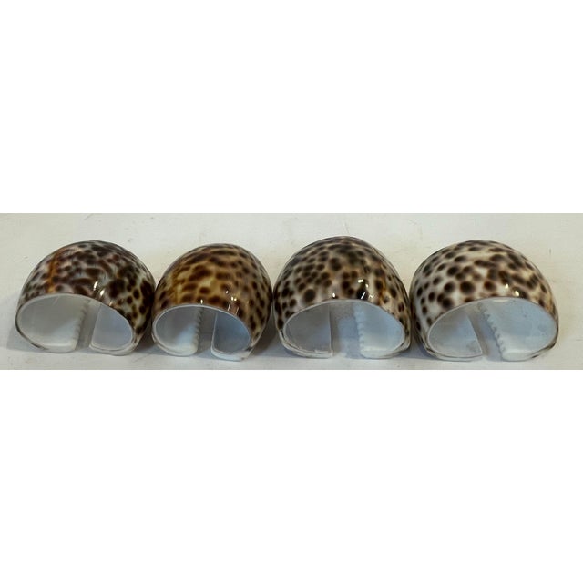 Late 20th Century Vintage Cowrie Shell Napkin Rings - Set of 4 For Sale - Image 5 of 6