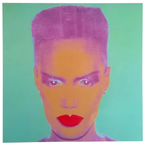 Andy Warhol Foundation Vintage 1993 Collector's Lithograph Pop Art Print " Grace Jones " 1986