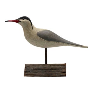 Thomas Langan Shorebird Carving With Red Beak on Driftwood Base For Sale