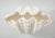 Art Deco Bespoke Coquillage Plaster Sconces - a Pair For Sale - Image 3 of 10