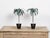 Pair of French Midcentury Palm Tree Sculptures in Black Tapering Pots For Sale - Image 10 of 10