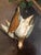 19th Century Continental European Painting of Game Birds For Sale - Image 11 of 16