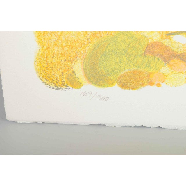 Kristian Begtorp, Lyrical Abstract Landscape, 1987, Color Lithograph For Sale - Image 4 of 6