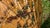Japanese Rice Paper Paper Parasol For Sale - Image 4 of 9