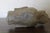15th Century & Earlier 15th Century & Earlier Authentic Northern Wei Buddha Head Fragment - 8” For Sale - Image 5 of 8