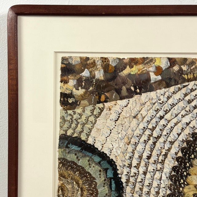Vintage Abstract Folk Art Collage Composition in Butterfly Wings, Framed For Sale In Philadelphia - Image 6 of 9