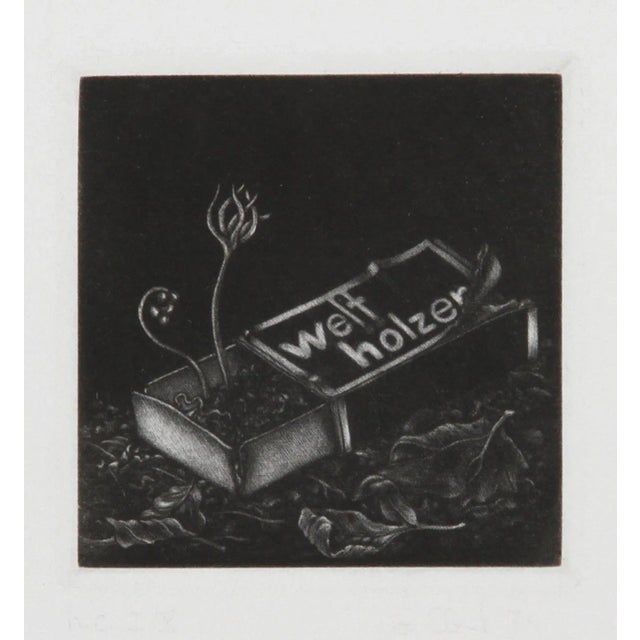 Gerde Ebert, Welfholzer, Mezzotint For Sale