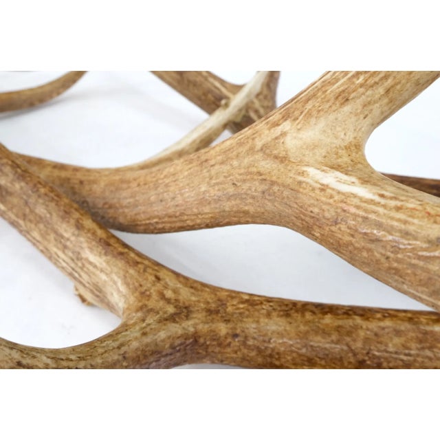 Antler Grouping Base Glass Rectangle Top Coffee Table Folk Art Mid Century Mod For Sale - Image 12 of 13