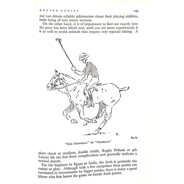 "Polo" 1936 the Earl of Kimberley For Sale - Image 11 of 12