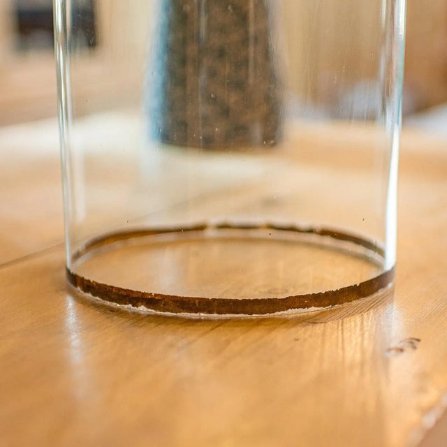 Transparent 1880's Tall Antique Taxidermy Dome For Sale - Image 8 of 9