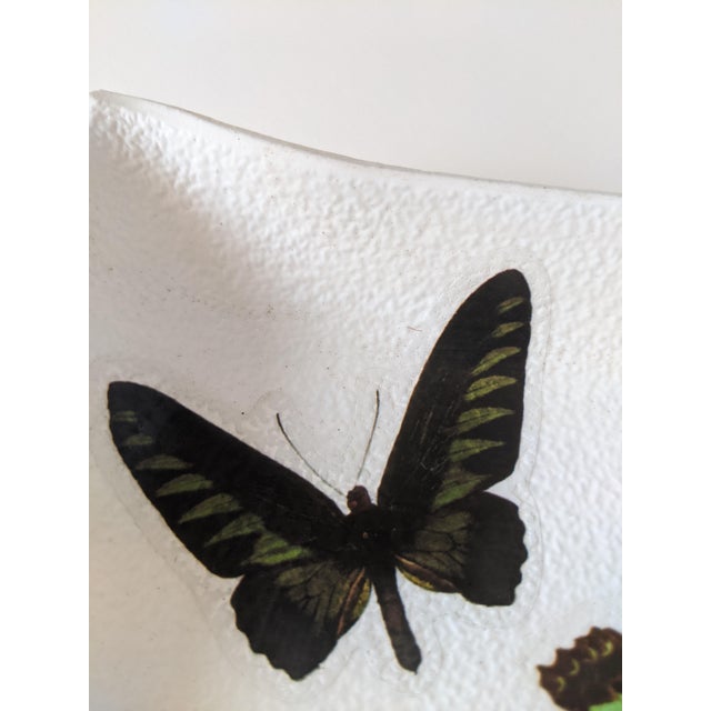 Vintage Decoupage Butterfly Catchall Dish Tray For Sale - Image 13 of 16