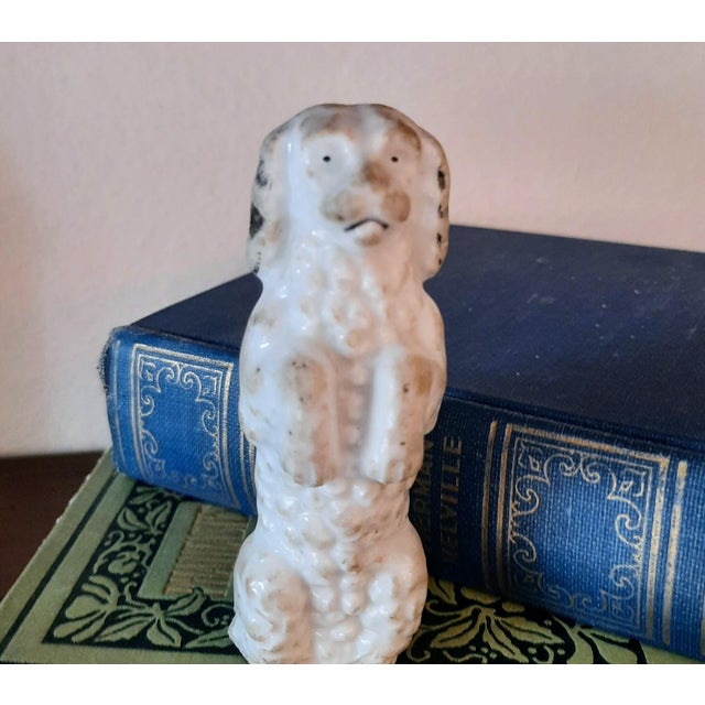English Antique Staffordshire Poodle Dog For Sale - Image 3 of 5